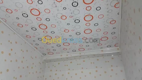 Vente et pose FAUX PLAFOND