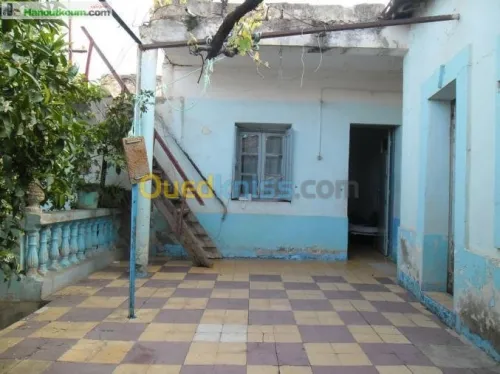 Vente bien immobilier Relizane Zemmoura