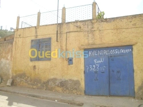 Vente bien immobilier Relizane Zemmoura
