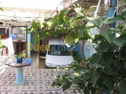 Vente bien immobilier Relizane Zemmoura