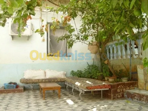 Vente bien immobilier Relizane Zemmoura