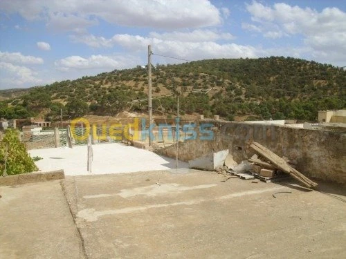 Vente bien immobilier Relizane Zemmoura