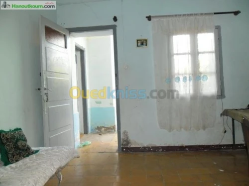 Vente bien immobilier Relizane Zemmoura