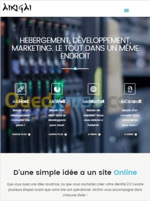 Hebergement, Developpement site web 