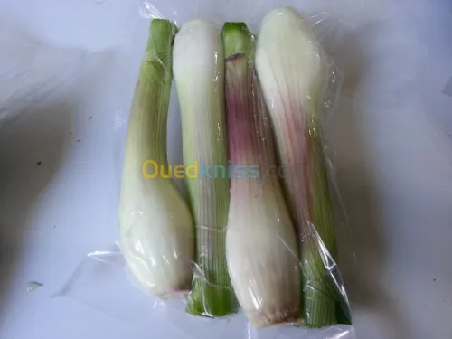 conditionnement légumes