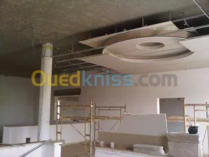 Décoration ont ba13 pvc plafond decapo