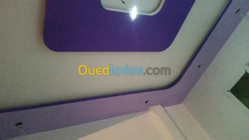 Peinture décoration BA13 lustrage jard