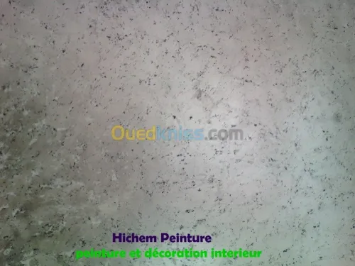 Peinture et decoration peinture 