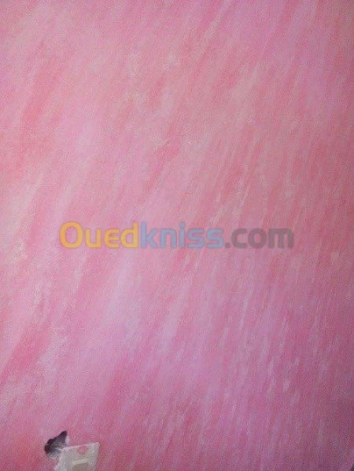 Decoration de peinture et b13