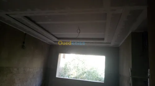 Decoration de peinture et b13