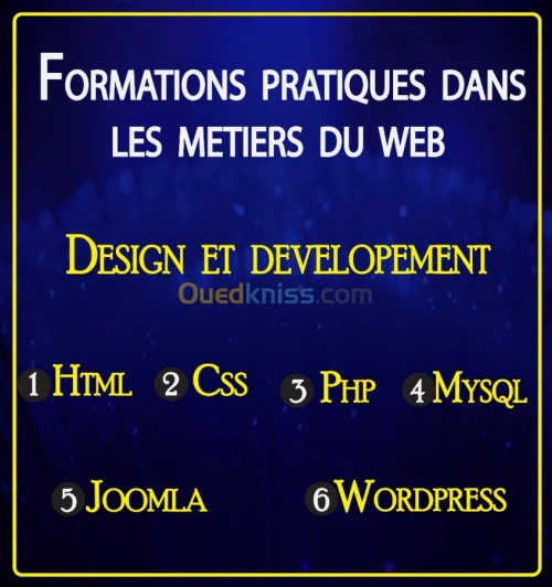 DEVELLOPEMENT WEB