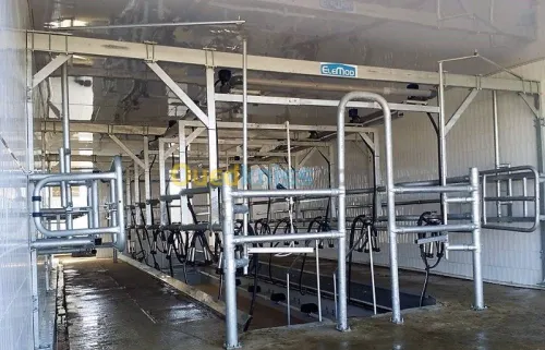 Salle de traite bovin 