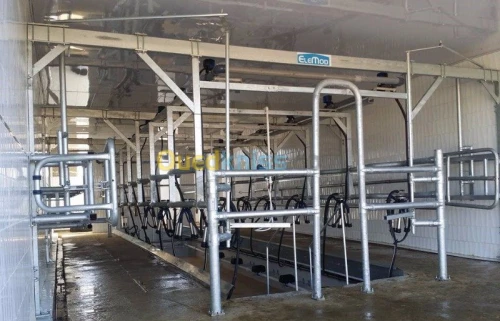 Salle de traite bovin 
