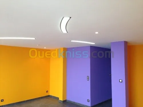 peintre professionnel