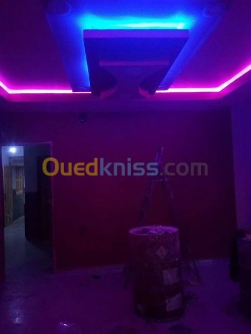 ديكور المنازال والطلاء بجميع انواعه