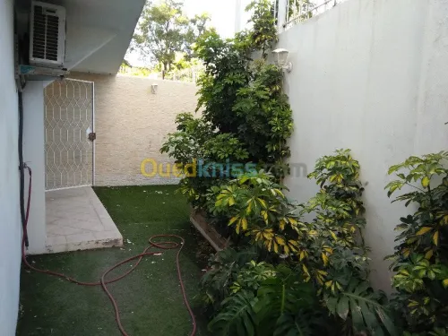 Location Duplex F5 Alger Hydra