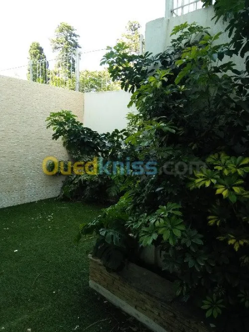 Location Duplex F5 Alger Hydra
