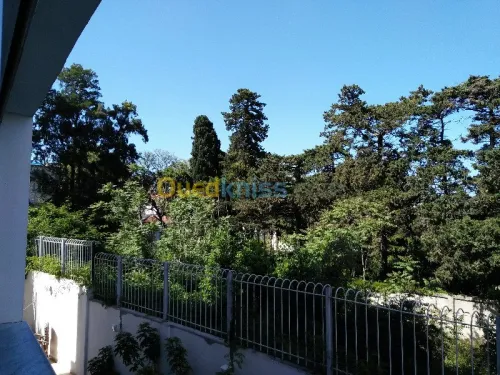 Location Duplex F5 Alger Hydra