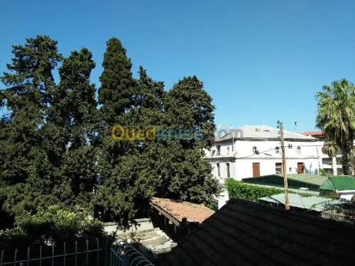 Location Duplex F5 Alger Hydra