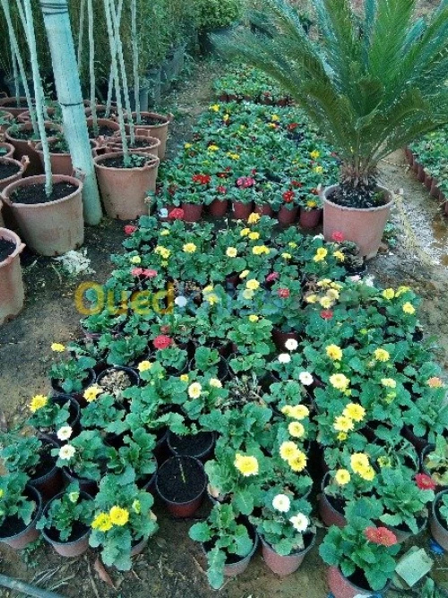  Jardinage