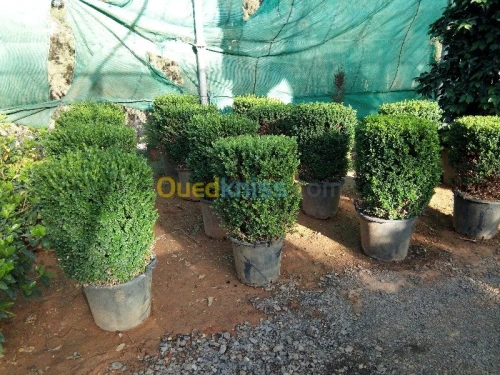  Jardinage