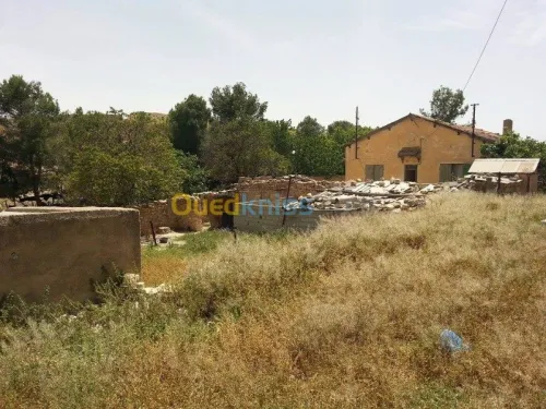 Vente Terrain Tebessa El kouif