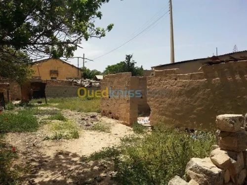 Vente Terrain Tebessa El kouif