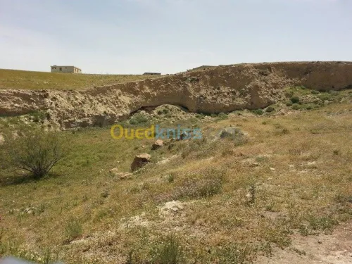 Vente Terrain Tebessa El kouif