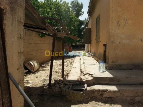 Vente Terrain Tebessa El kouif