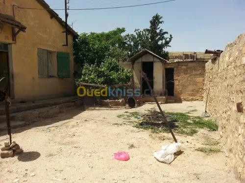 Vente Terrain Tebessa El kouif