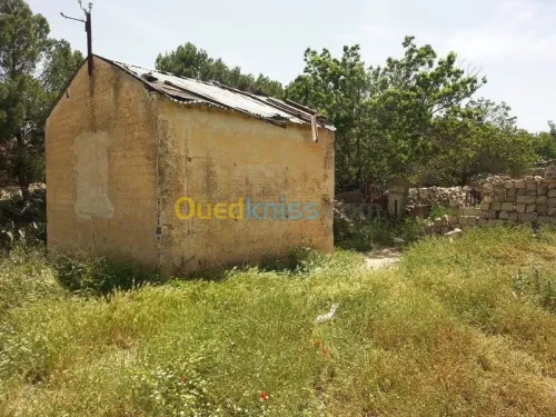 Vente Terrain Tebessa El kouif