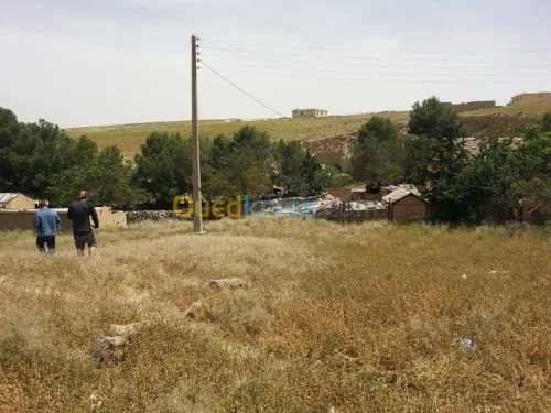 Vente Terrain Tebessa El kouif
