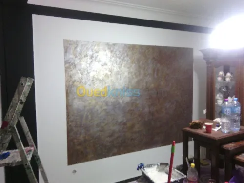 tout traveaux de peinture80000