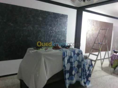 tout traveaux de peinture80000