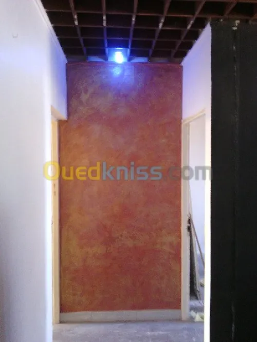 tout traveaux de peinture80000