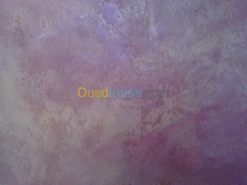 tout traveaux de peinture80000
