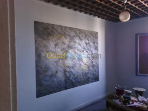 tout traveaux de peinture80000