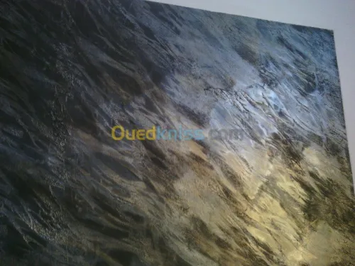 tout traveaux de peinture80000