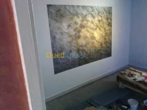 tout traveaux de peinture80000