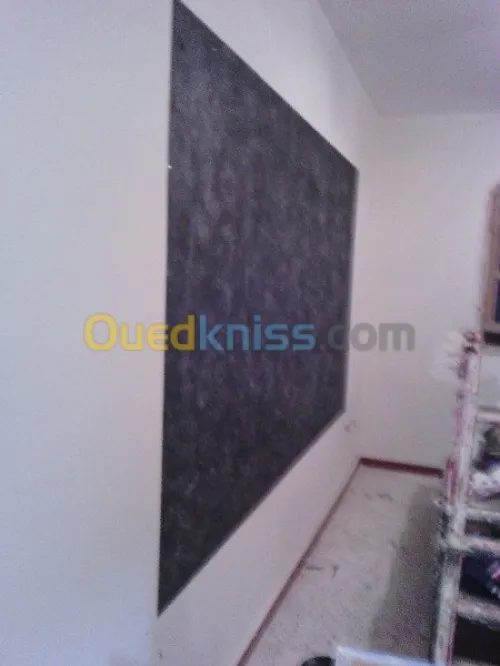 tout traveaux de peinture80000