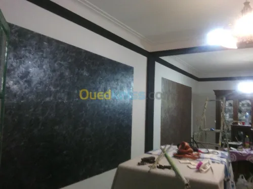 tout traveaux de peinture80000