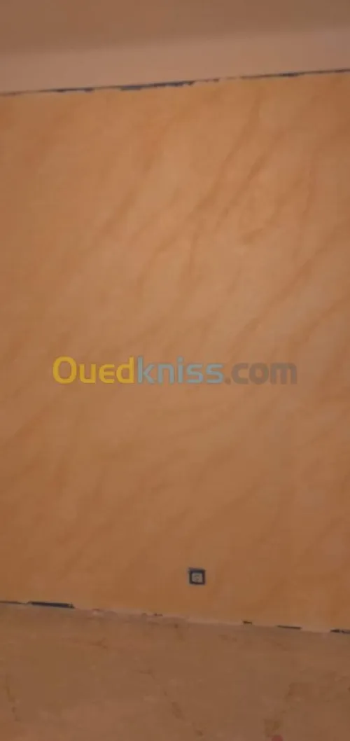 peintre  qualifié