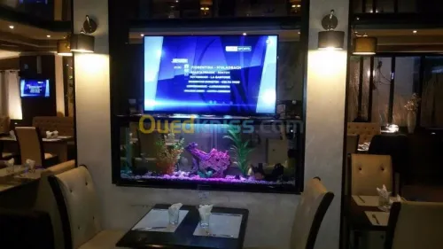 Fabrication et entretien des aquarium