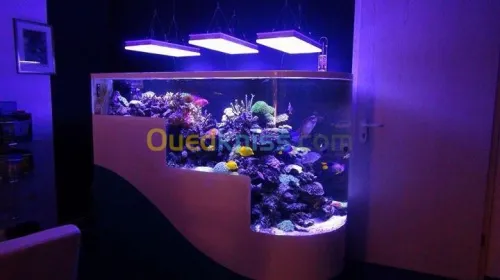 Fabrication et entretien des aquarium