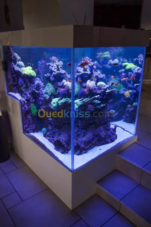 Fabrication et entretien des aquarium