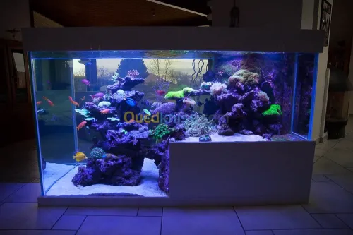 Fabrication et entretien des aquarium