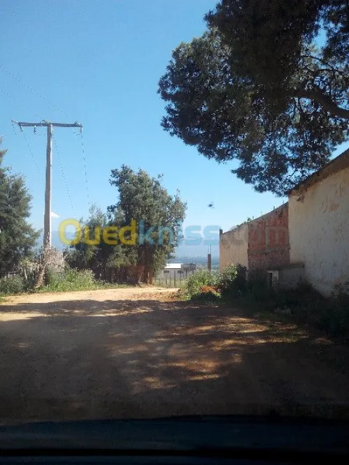 Vente Terrain Tipaza Chaiba