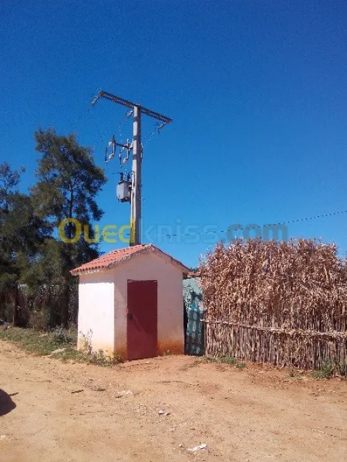 Vente Terrain Tipaza Chaiba