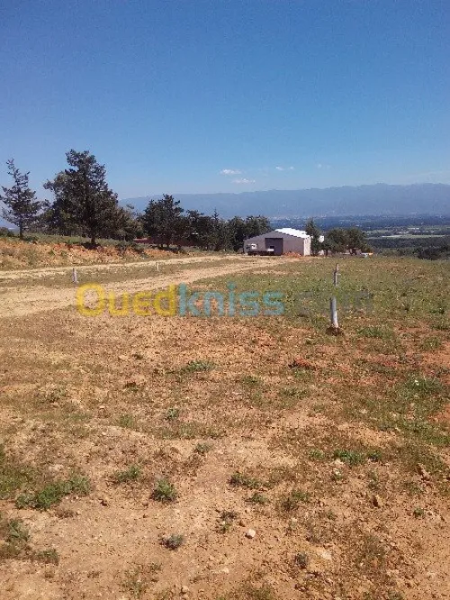 Vente Terrain Tipaza Chaiba