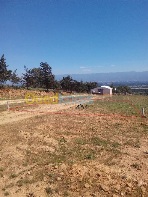 Vente Terrain Tipaza Chaiba